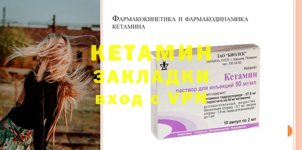 прущие грибы Каменка