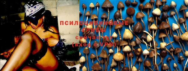 spice Киренск