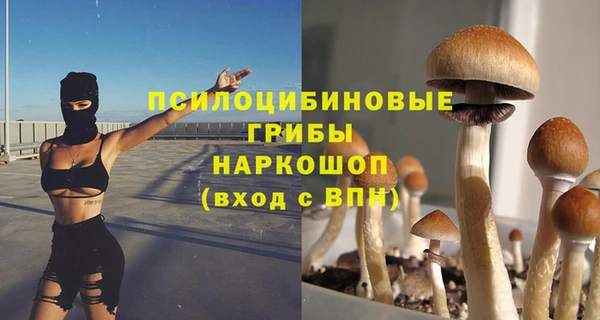 spice Киренск